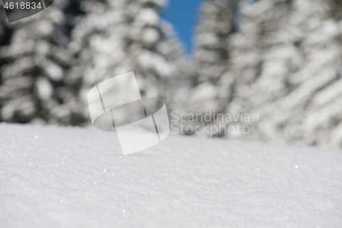 Image of snow background