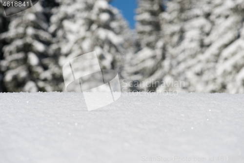 Image of snow background