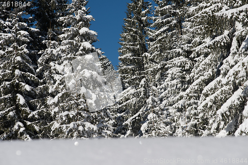 Image of snow background