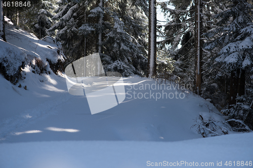 Image of winter landscape in forest at sunset