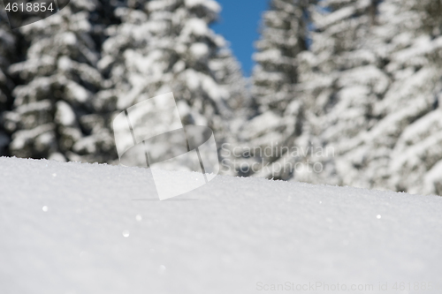 Image of snow background