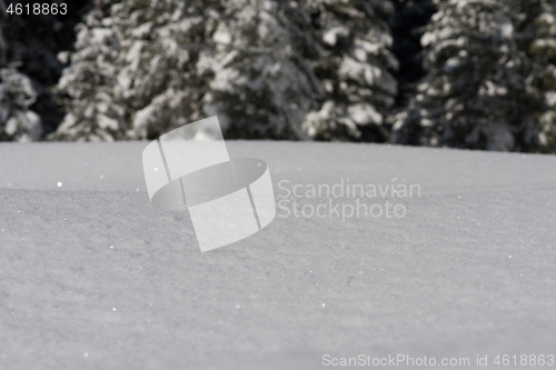 Image of snow background