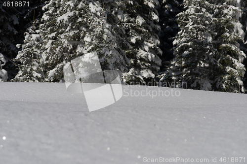 Image of snow background