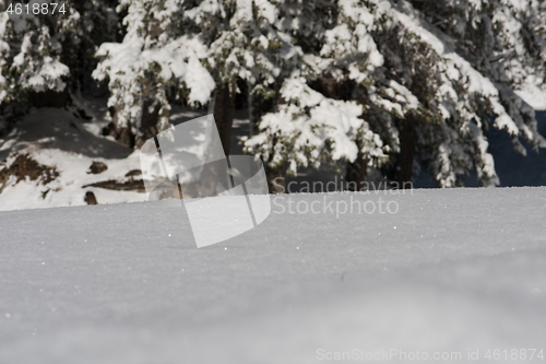 Image of snow background