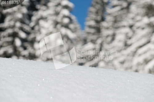 Image of snow background