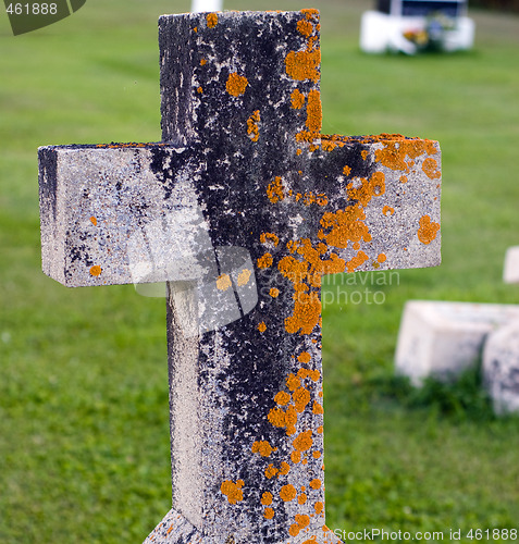 Image of Mossy Tombstone