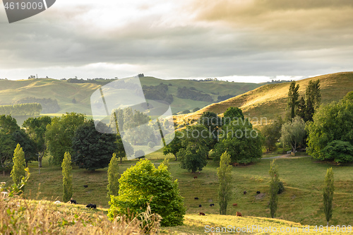 Image of typical rural landscape in New Zealand