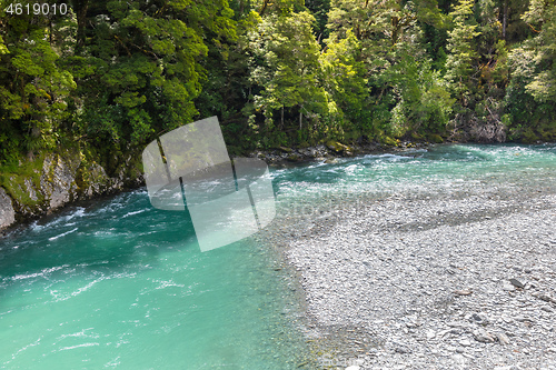 Image of Haast River Landsborough Valley New Zealand