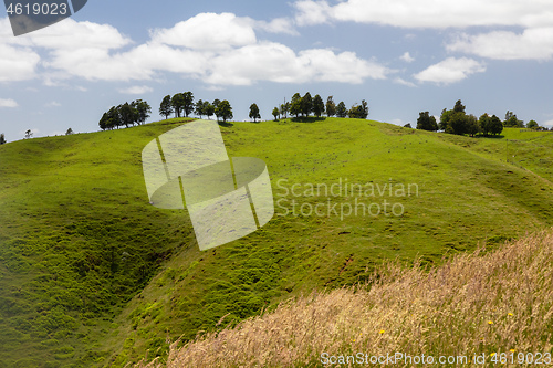 Image of typical landscape in north New Zealand