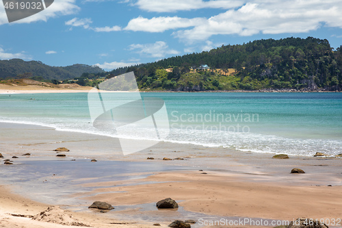 Image of hot springs beach New Zealand Coromandel