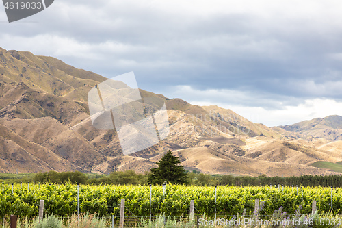 Image of Agriculture in New Zealand south island