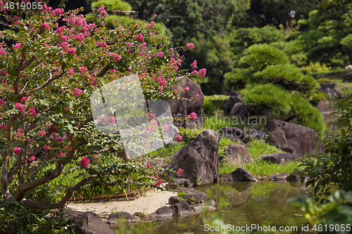 Image of Beautiful japanese traditional park in summer time