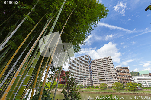 Image of Bamboo Forest and buildings of Hiroshima, Japan.