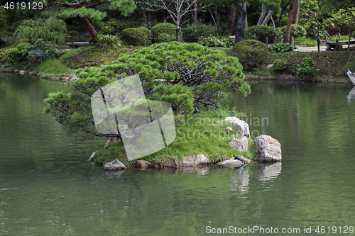 Image of Beautiful japanese traditional park in summer time