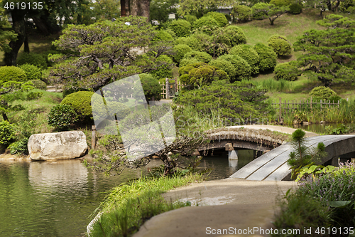 Image of Beautiful japanese traditional park in summer time