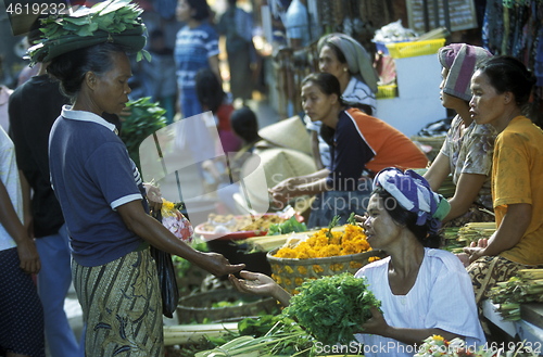 Image of ASIA INDONESIA BALI TROPICAL FLOWERS