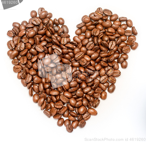Image of Fresh Cup Coffee Shows Hot Drink And Coffees 