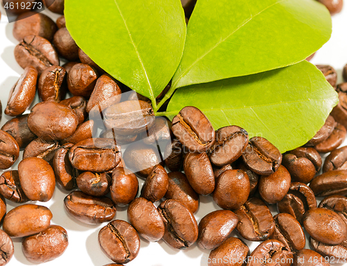 Image of Coffee Beans Fresh Represents Tasty Delicious And Restaurant 