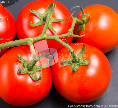 Image of Freshly picked red tomatoes from the vine 