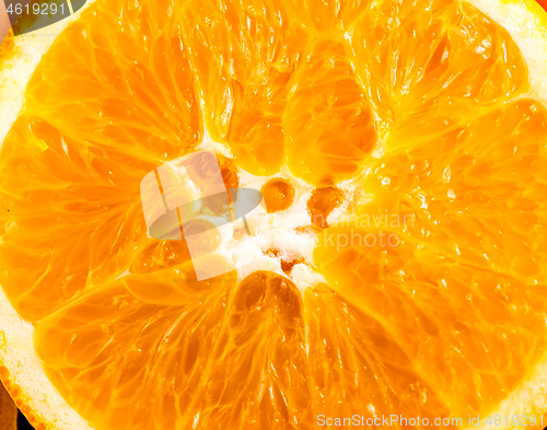 Image of Orange Closeup Indicates Tropical Fruit And Fruity 