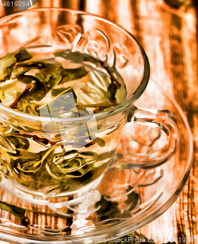 Image of Green Tea Drink Means Refreshment Oriental And Chinese 