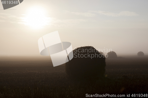 Image of Big haystack