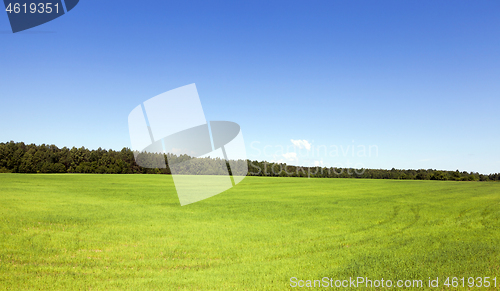 Image of Summer landscape