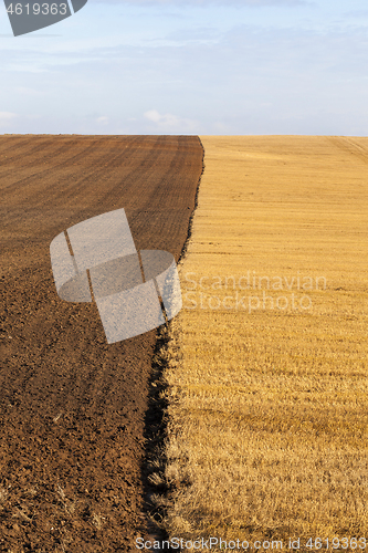 Image of plowed agricultural field
