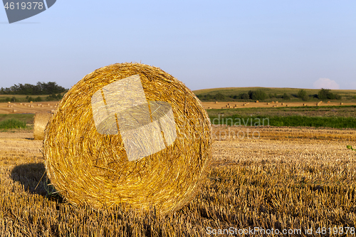 Image of One stack of straw