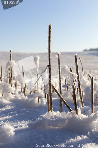 Image of Snow drifts in winter