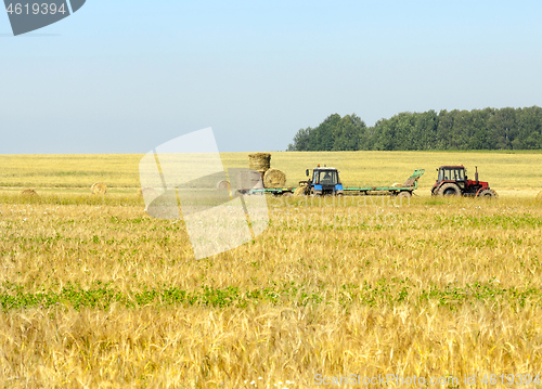 Image of after harvesting cereals