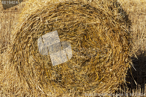 Image of Photo closeup straw stack