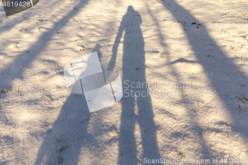 Image of Snow drifts in winter