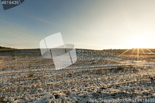 Image of After snowfall