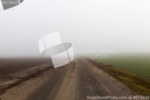 Image of Field in the fog, close-up