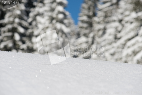 Image of snow background