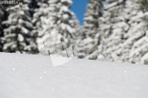 Image of snow background