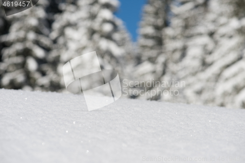 Image of snow background