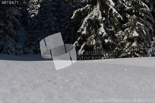 Image of snow background