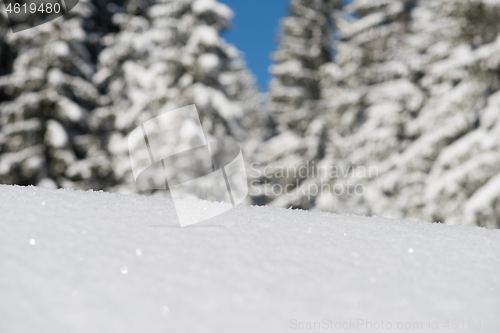 Image of snow background
