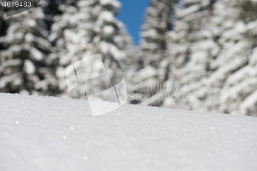 Image of snow background