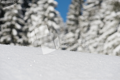 Image of snow background