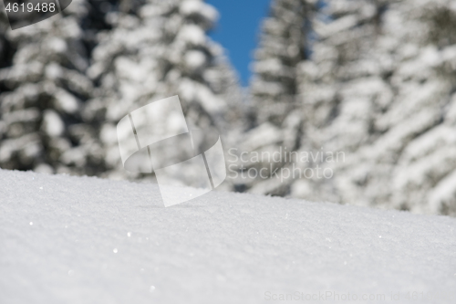 Image of snow background