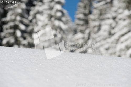 Image of snow background