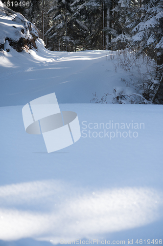 Image of winter landscape in forest at sunset