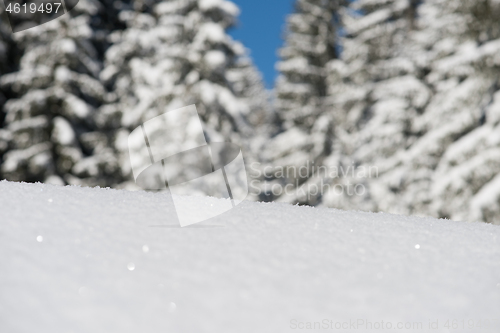 Image of snow background