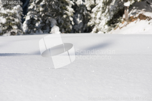 Image of snow background