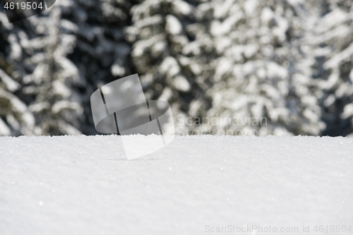 Image of snow background