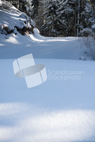 Image of winter landscape in forest at sunset