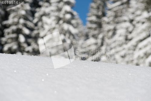 Image of snow background